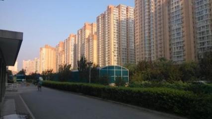 盛世聯行 全方位房地產專業咨詢服務，賦能資產價值與市場流通