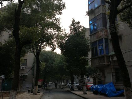 戚廠工房北區深度解析 居住優勢與不足，以及周邊經紀人專業評價